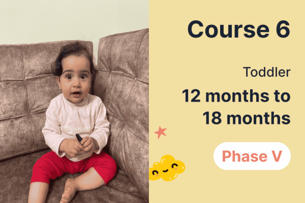 Phase V - Course 6 - (12 months to 18 months - Toddler) cover