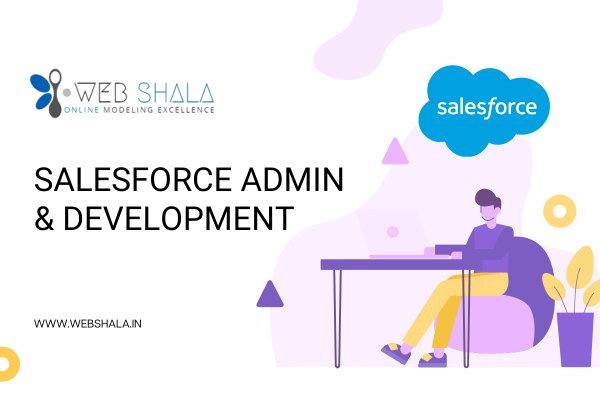 SALESFORCE ADMIN & DEVELOPMENT LIVE TRAINING cover