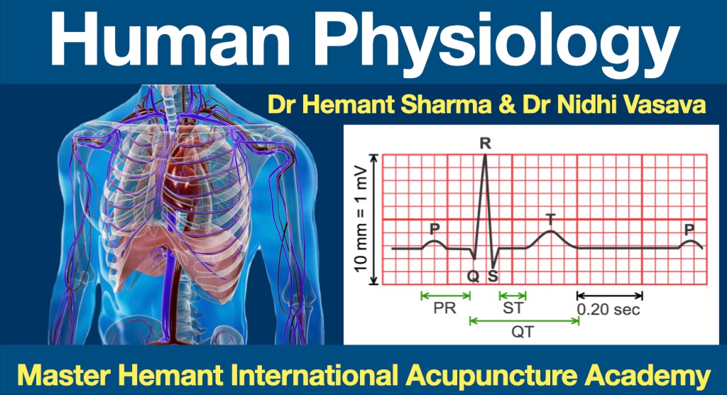 Human Physiology cover