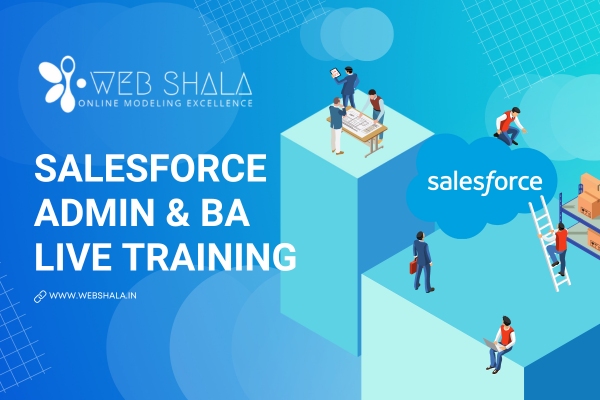 SALESFORCE ADMIN AND BUSINESS ANALYST LIVE TRAINING  cover