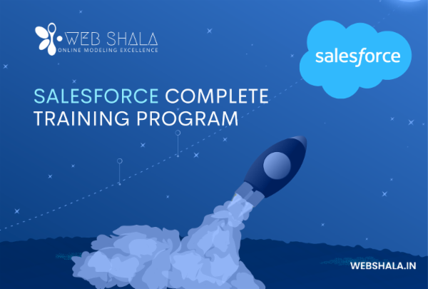 SALESFORCE ADMIN, DEVELOPMENT, INTEGRATION & LWC TRAINING PROGRAM cover