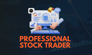 Professional Stock Trader cover