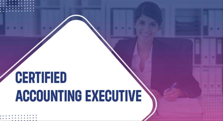 CAE - CERTIFIED ACCOUNTING EXECUTIVE cover