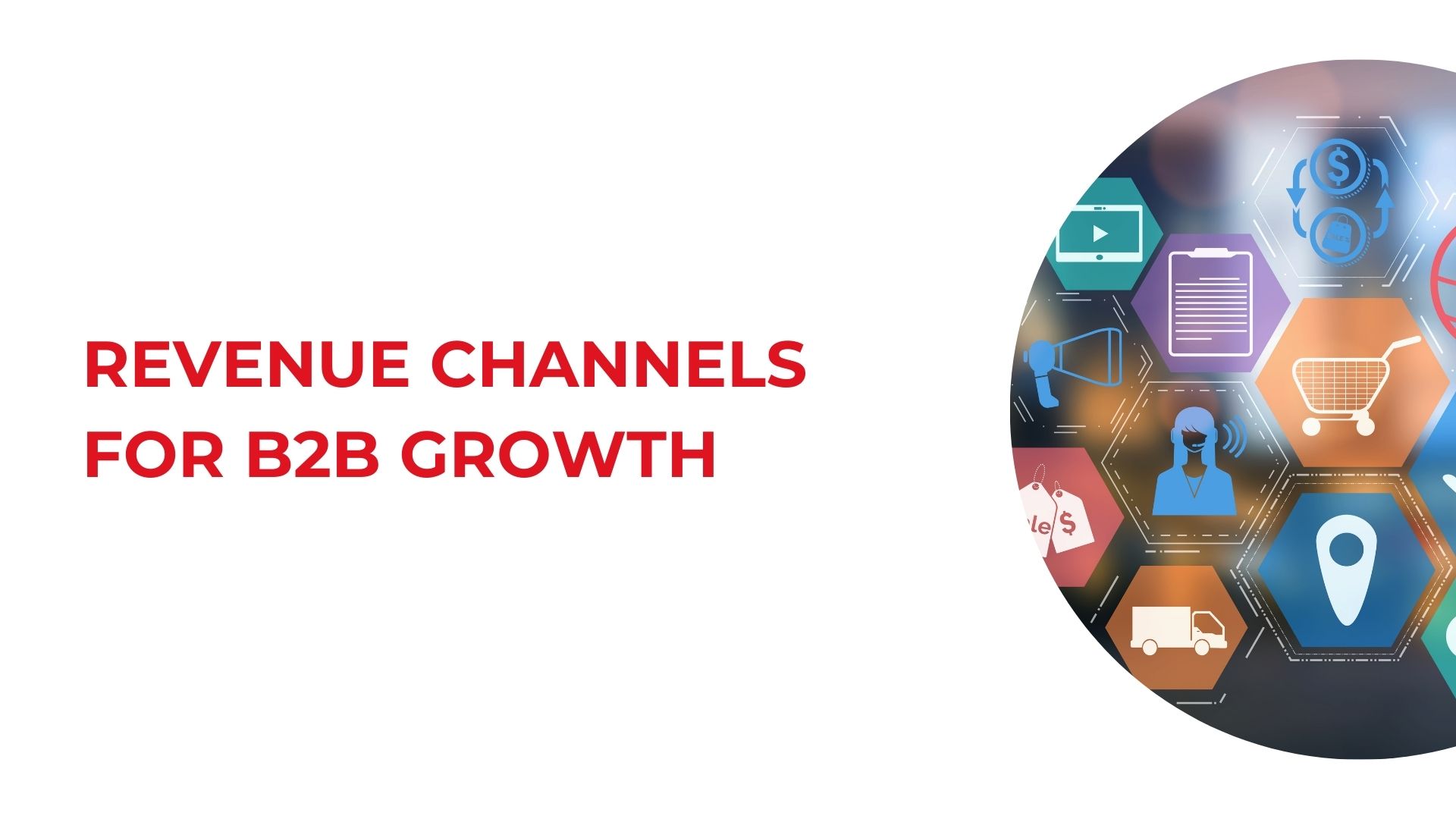 Revenue Channels for B2B Growth cover
