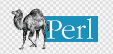 Perl Programming cover