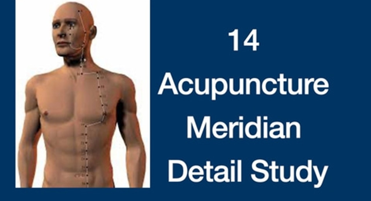 14 Acupuncture Meridian Detail Study(53 hours) cover