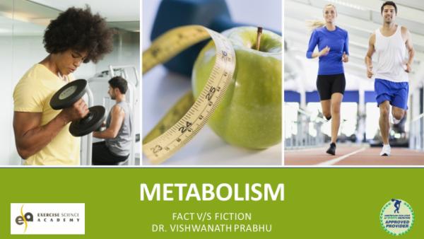 Metabolism Workshop cover