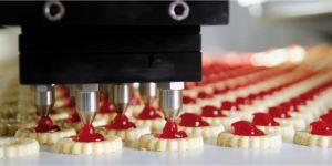 Plant Biscuit Production Specialist (English eBook) cover