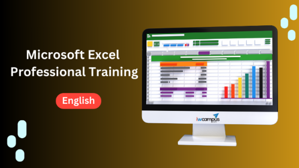 Microsoft Excel Professional - English cover