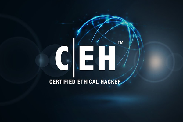 Certified Ethical Hacker CEH v11 cover