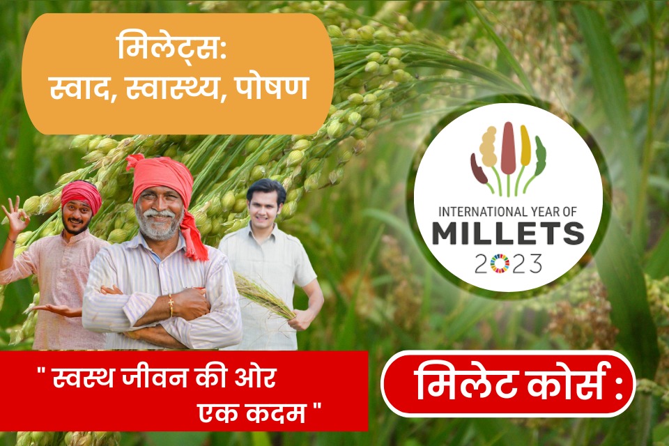 बाजरा की खेती: स्वास्थ्य और संरक्षण के साथ एक अद्वितीय पाठ्यक्रम cover