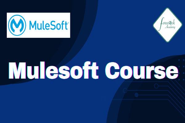 MuleSoft Course cover