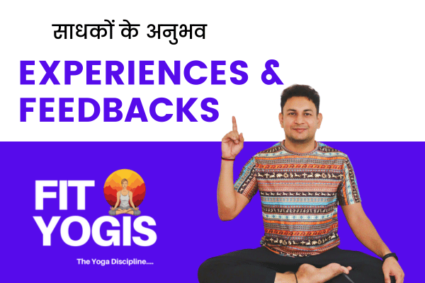  Experiences & feedback  cover