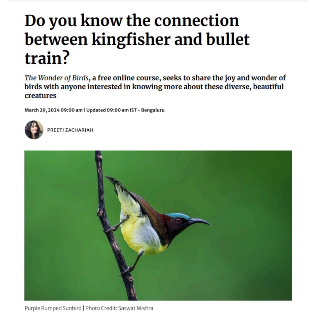 Do you know the connection between kingfisher and bullet train? | The Hindu