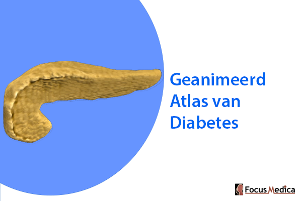 Geanimeerde Atlas van Diabetes cover