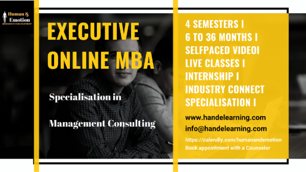 Online Executive MBA in Management Consulting cover