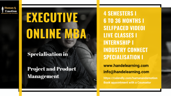 Online Executive MBA in Project and Product Management cover