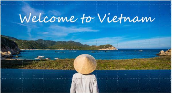 Self Learning Module - Vietnam cover