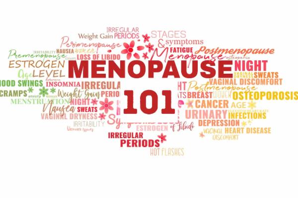 Menopause 101 cover