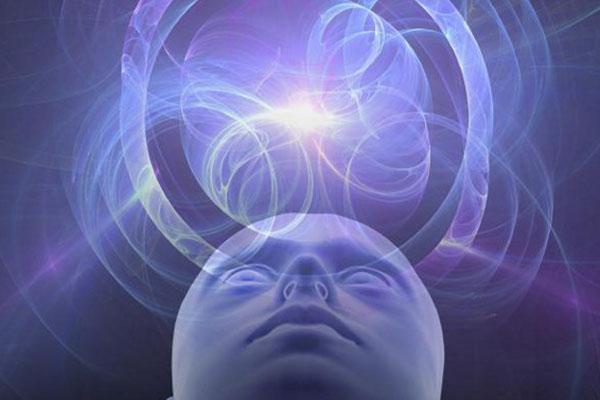 Master Course Bundle: 5 Courses in 1 cover