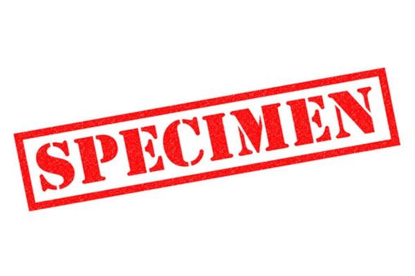 Sample Lectures and Study Material cover