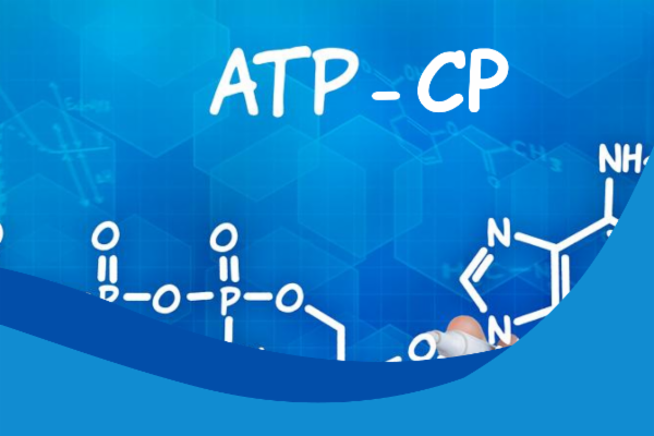 ATP-CP Workshop cover