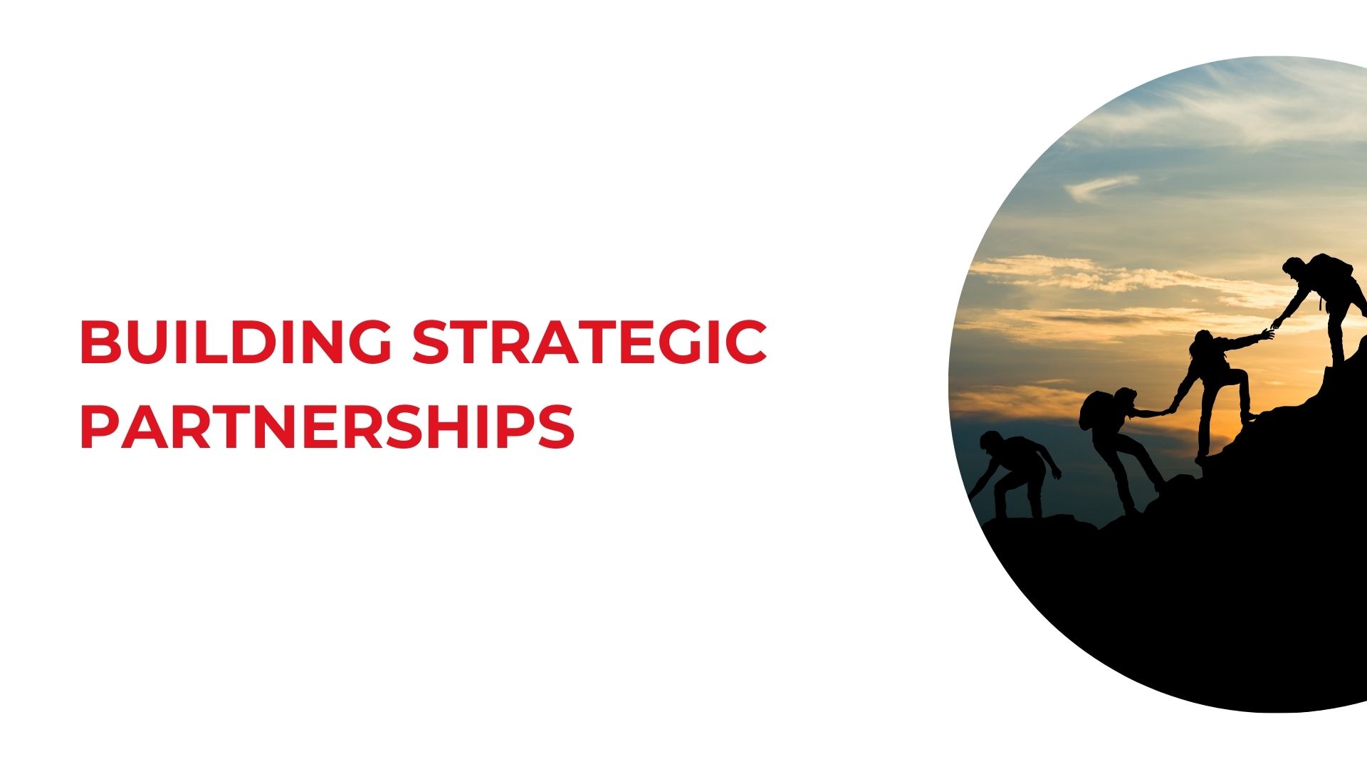 Building Strategic Partnerships cover
