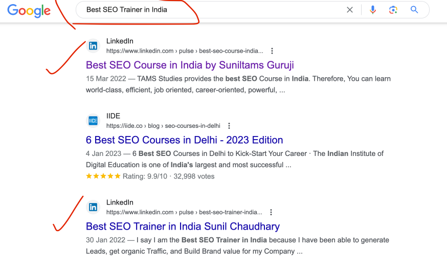 Sunil Chaudhary Best SEO Coach in India World Google Search Results