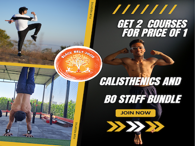 Calisthenics and Bo staff bundle cover