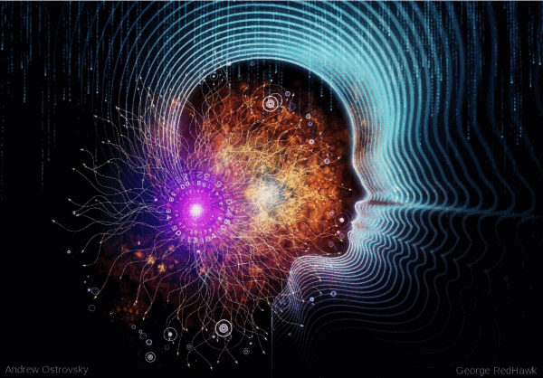 Mastering The Human Body Gadget Workshop cover