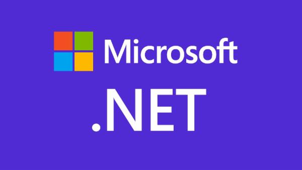 Microsoft ASP.NET core MVC cover