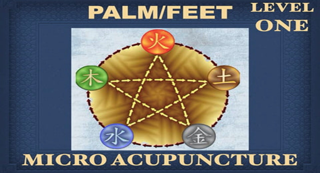 FINGER QI ACUPUNCTURE LEVEL ONE cover