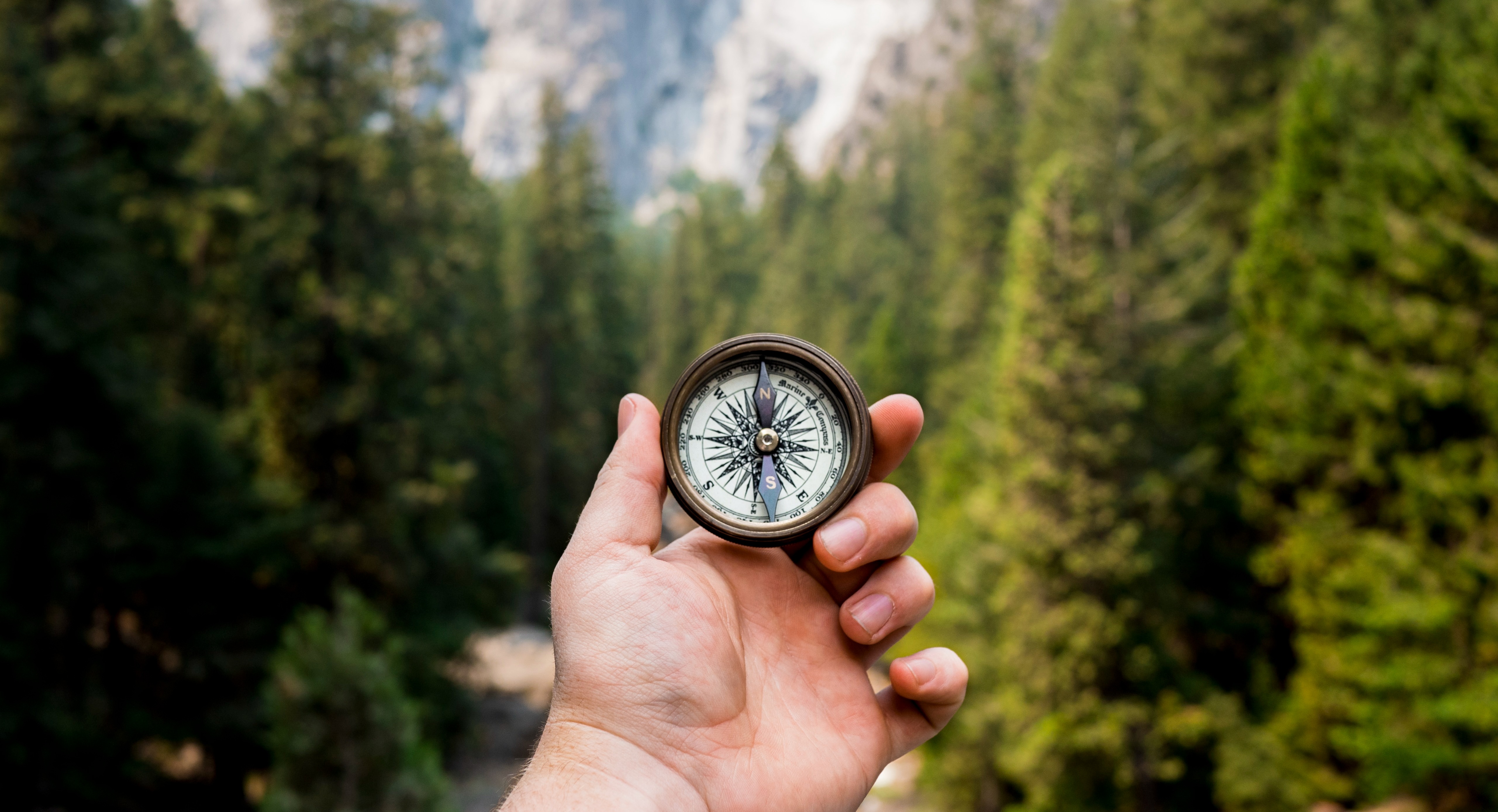 FIND YOUR LIFE PURPOSE BY SOUNDARY MIRA  cover