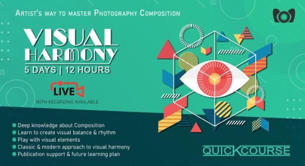 QuickCourse | Fundamentals of Visual Harmony cover