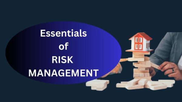 Essentials of Risk Management cover