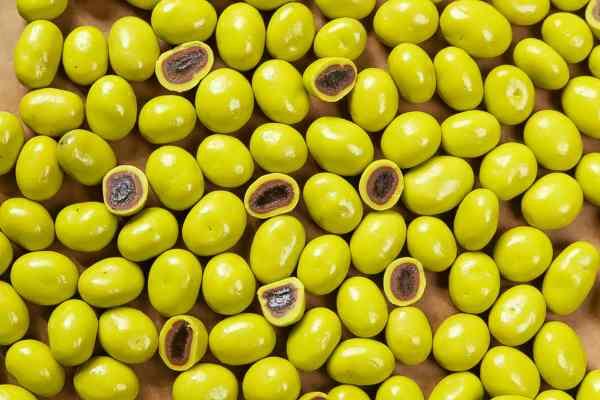 Chocolate Panning Masterclass cover