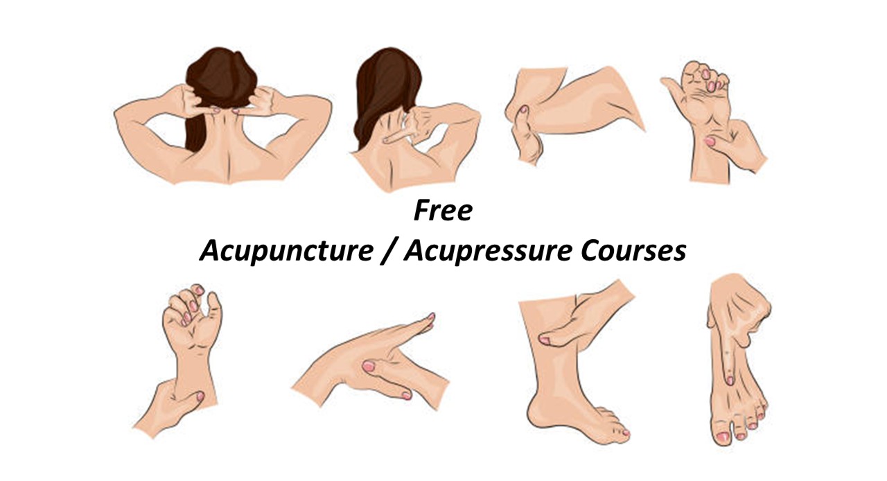 All Free Courses cover