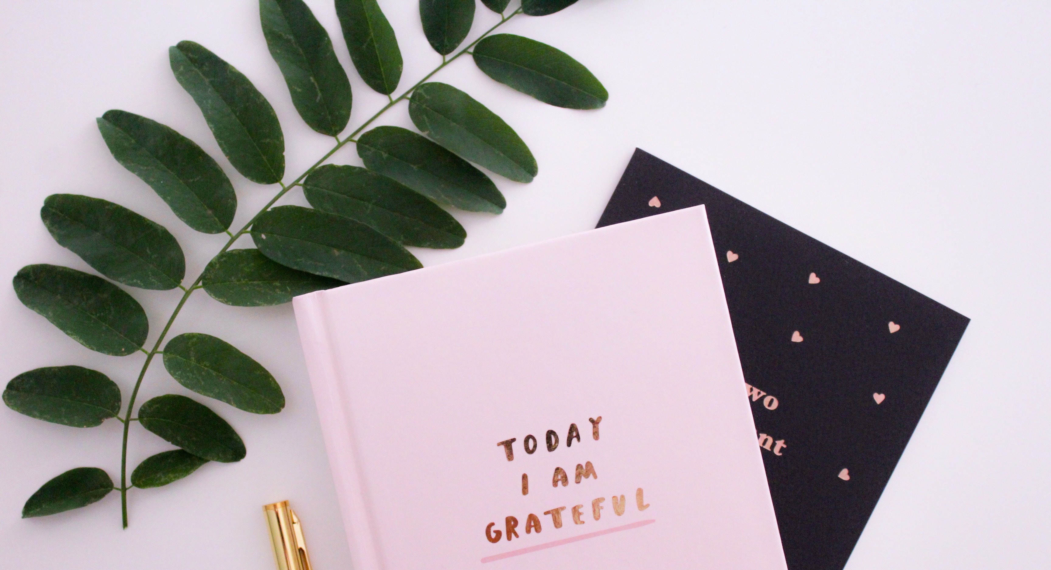 GRATITUDE WORKSHOP BY BLISSFUL BEINGS cover