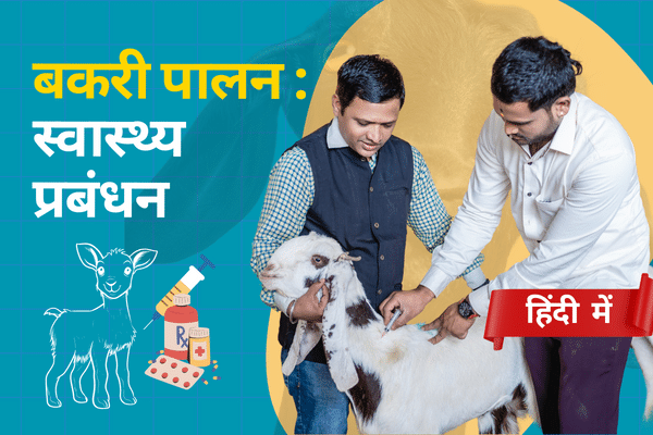 बकरी पालन: स्वास्थ्य प्रबंधन cover