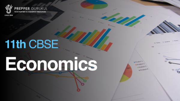 11th CBSE - Economics cover