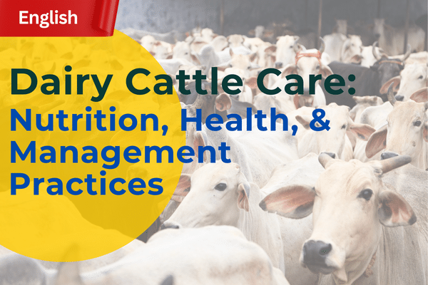 Dairy Cattle Care : Nutrition, Health, & Management Practices cover