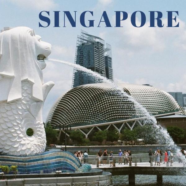 Self Learning Module - Singapore cover