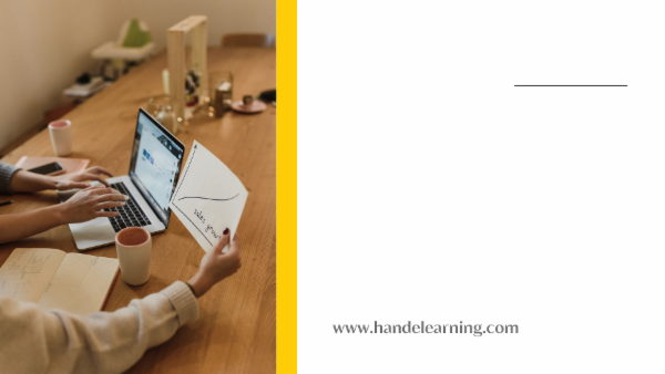 Professional Certified Auditor cover