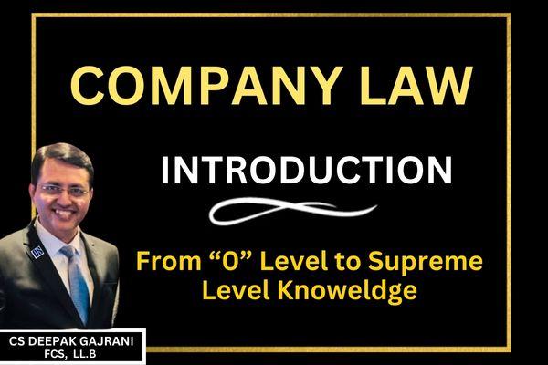 Company Law - Beginners Module cover