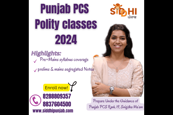 Polity Classes-Prelims + Mains (with full notes) cover