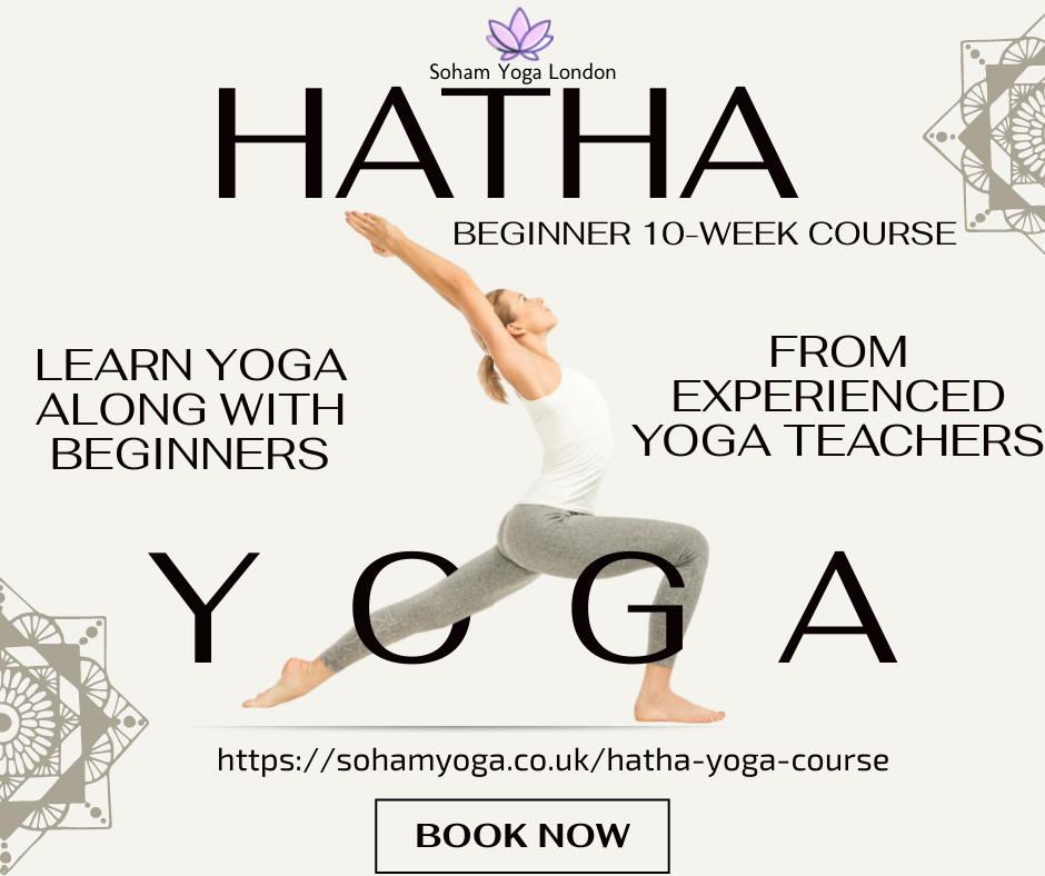 Hatha Yoga Course for Beginners cover