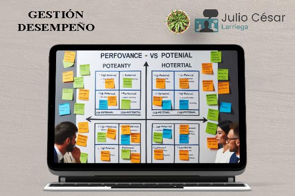 Gestiona el Desempeño cover