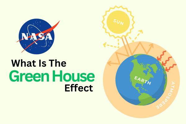 What Is The Greenhouse Effect? cover