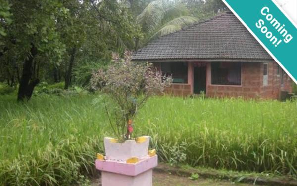 Property Rights cover