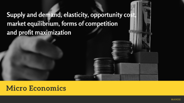 A Guide to Micro Economics cover